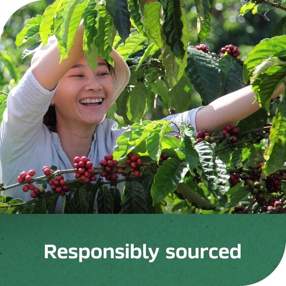 Premium NESCAFÉ Decaf House Blend Instant Coffee, 2x7 Oz Jars - Savor Instantly - Picture 9 of 9